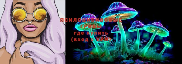 прущий лед Алзамай