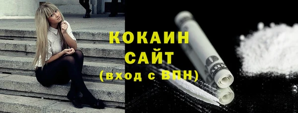 прущий лед Алзамай