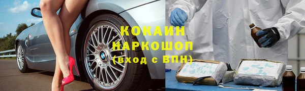 прущий лед Алзамай