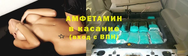 мет Алексин