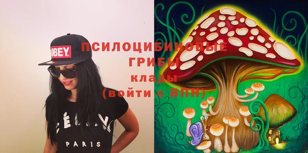 мет Алексин