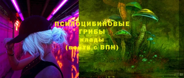 прущий лед Алзамай